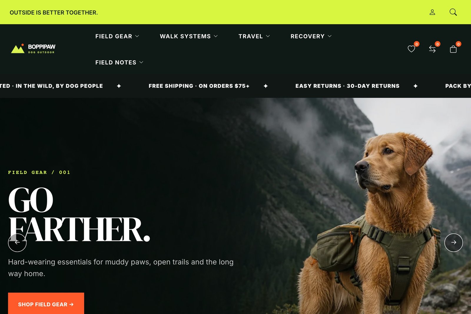 Dog Outdoor adventure storefront